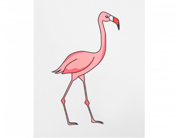 Открытка Flamingo
